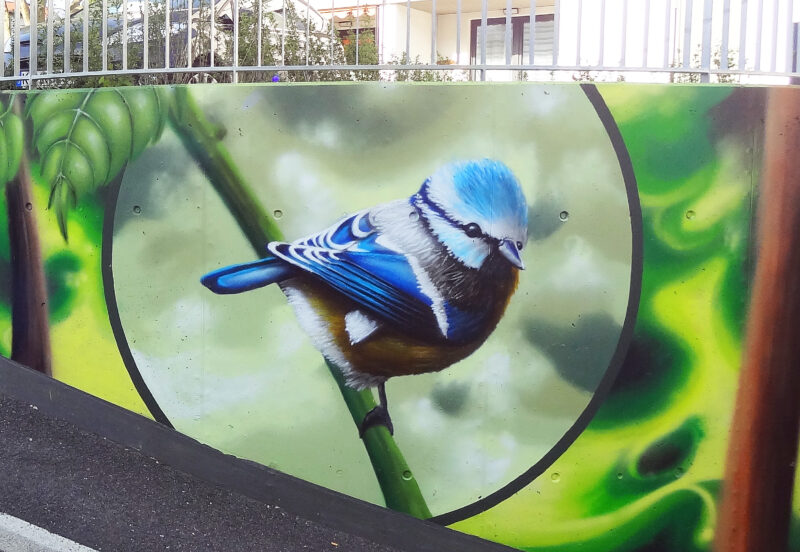 Graffiti eines lebendigen kleinen Vogels auf einer Betonwand in Köln gemalt von einem Graffiti-Künstler. Der Vogel hat blaues und braunes Gefieder und sitzt auf einem grünen Zweig, umgeben von einem natürlichen Hintergrund.